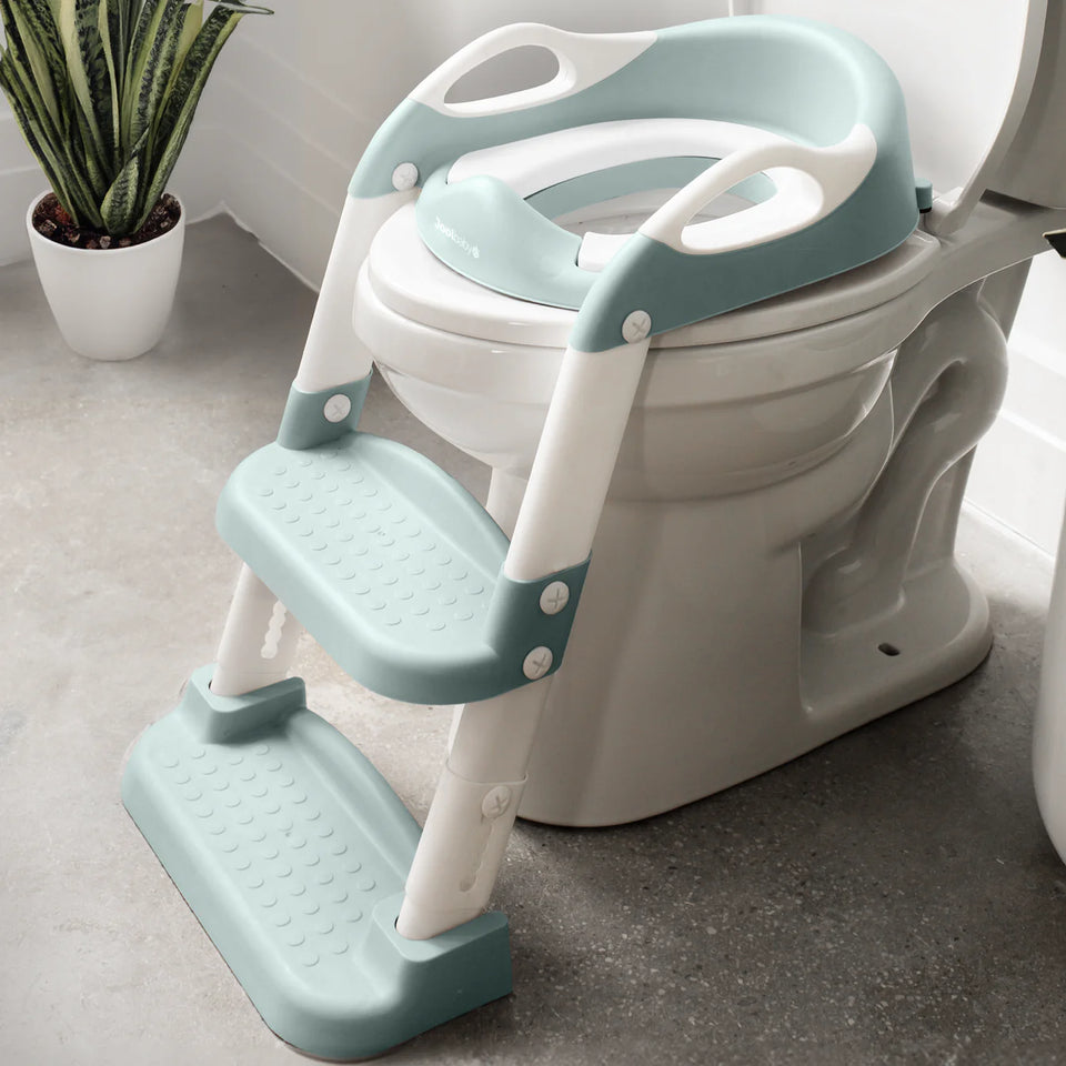 Potty Training Seat with 2 Step Ladder (Adjustable)