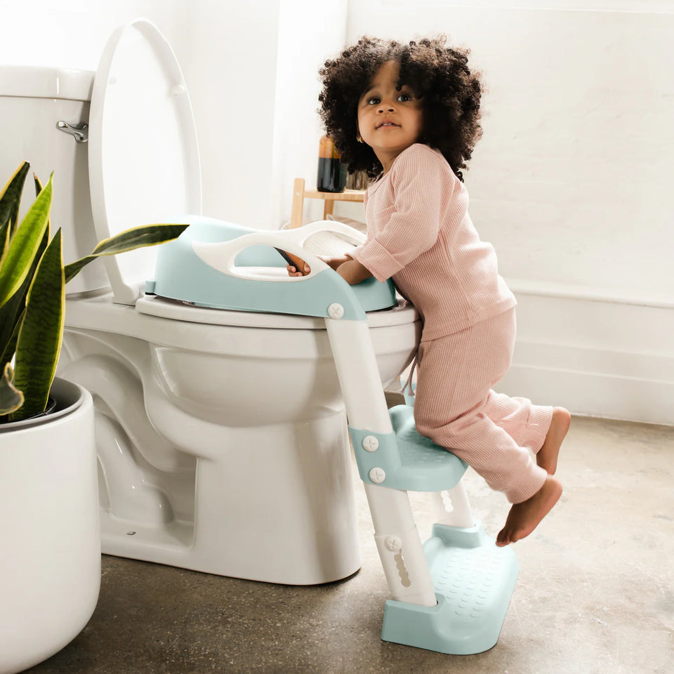 Potty Training Seat with 2 Step Ladder (Adjustable)
