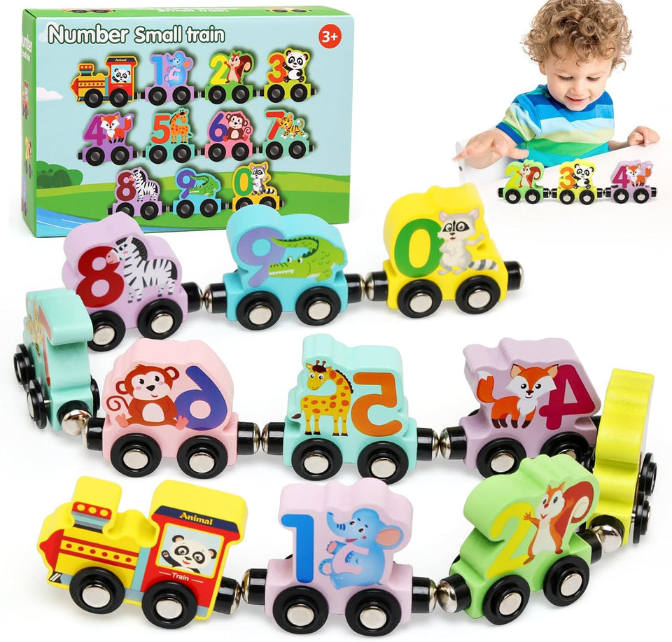 Magnetic Vehicle Number Train